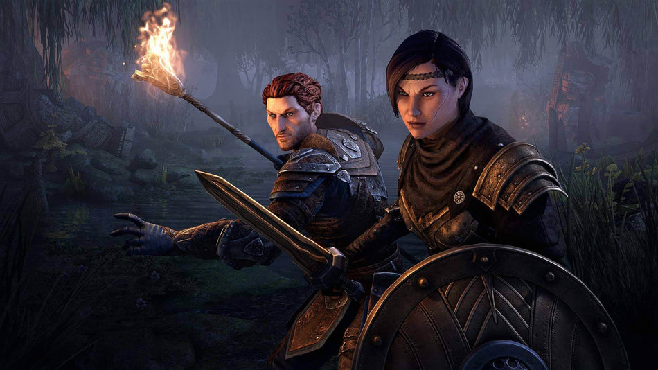 The Elder Scrolls Online: Blackwood Edition for PS4